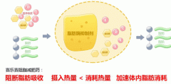 对赛乐赛不满可以去投诉吗？